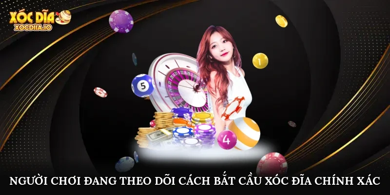 Người chơi đang theo dõi cách bắt cầu xóc đĩa chính xác