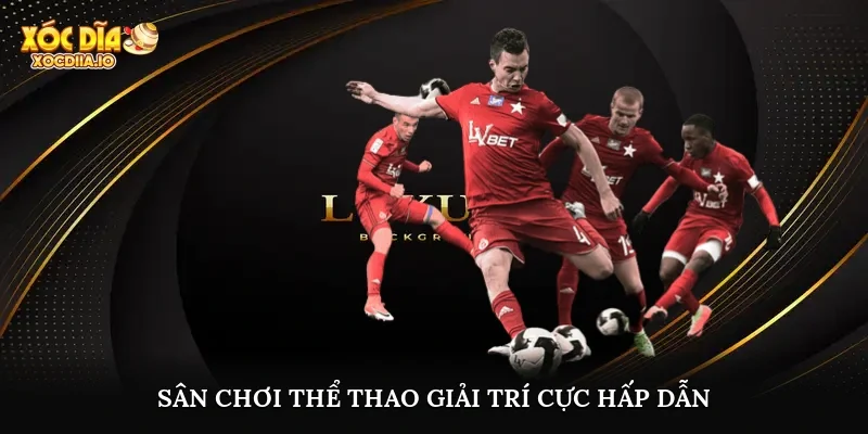 Sân chơi thể thao giải trí cực hấp dẫn